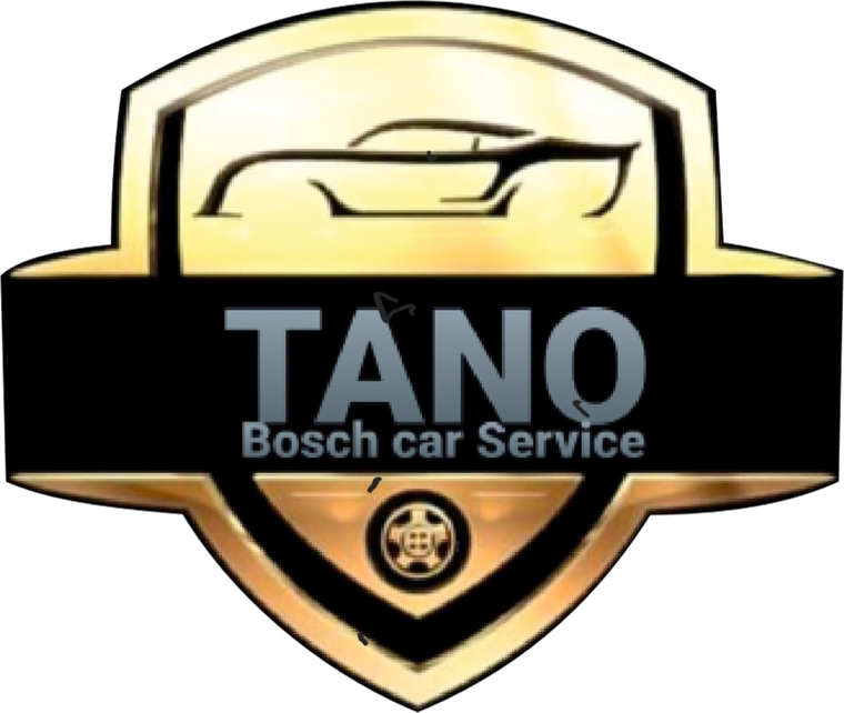 Tano Evoluzione — Bosch Car Service
